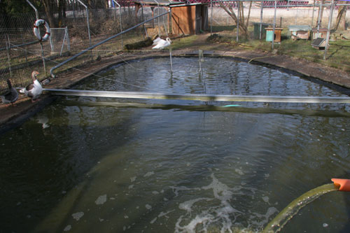 Teich