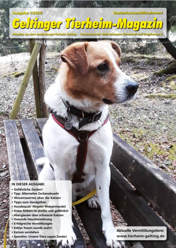 Tierheim-Magazin Ausgabe 1-2026
