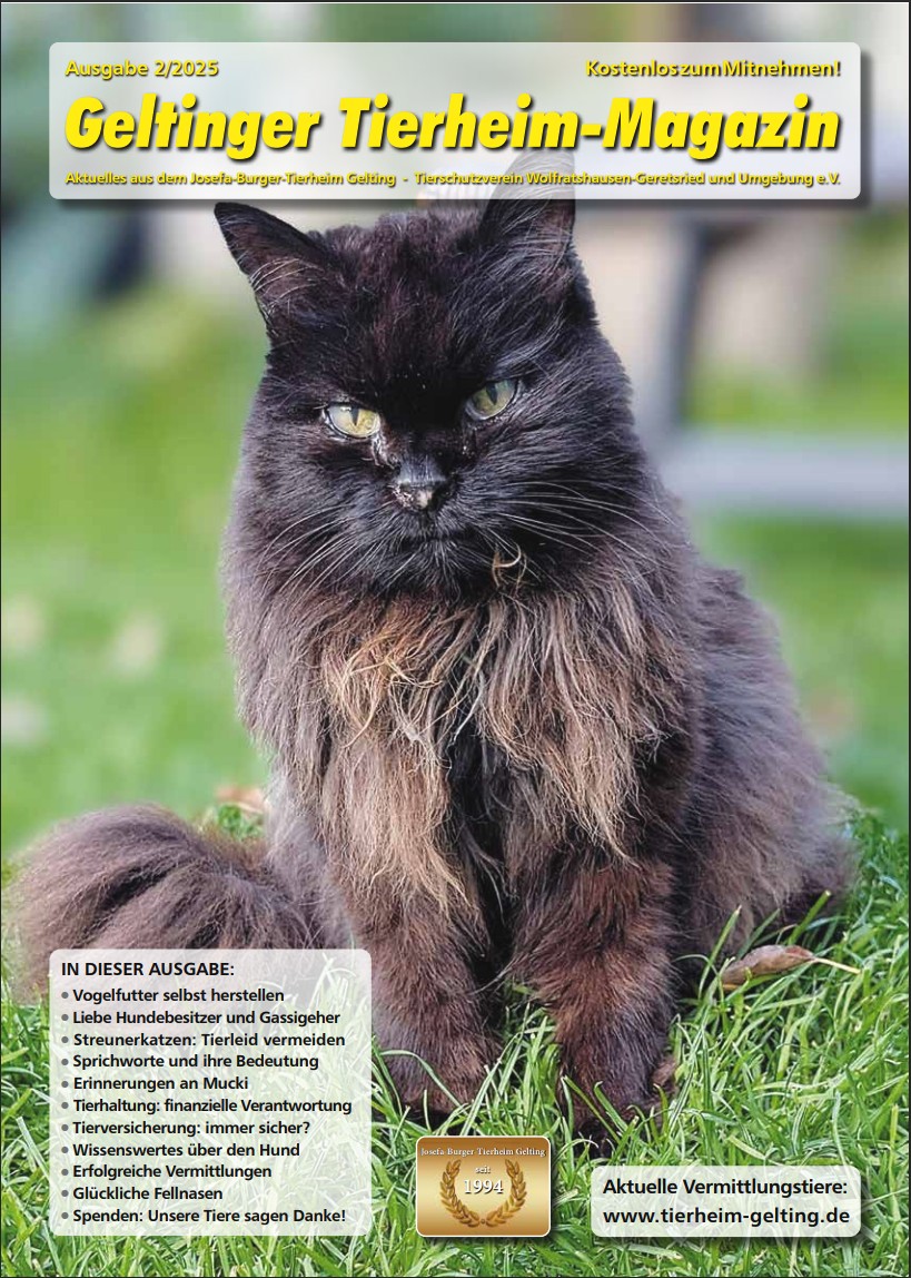 Tierheim-Magazin Ausgabe 2-2025
