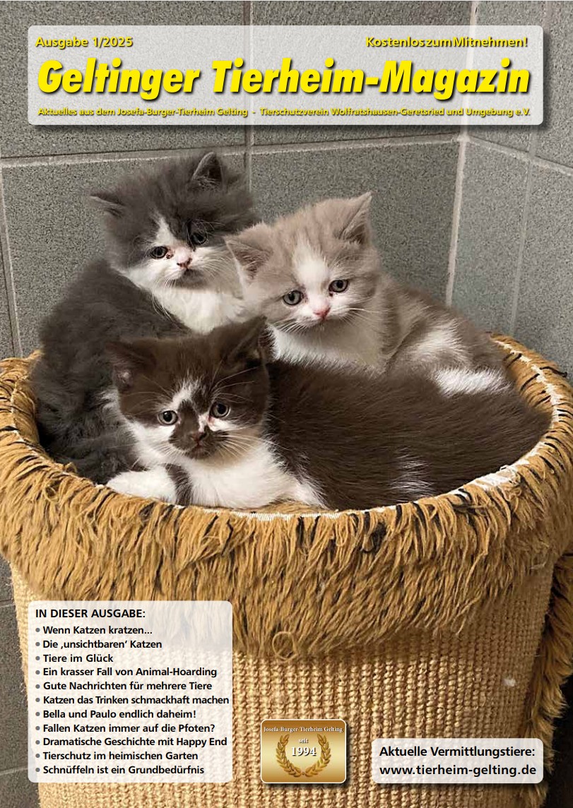 Tierheim-Magazin Ausgabe 1-2025